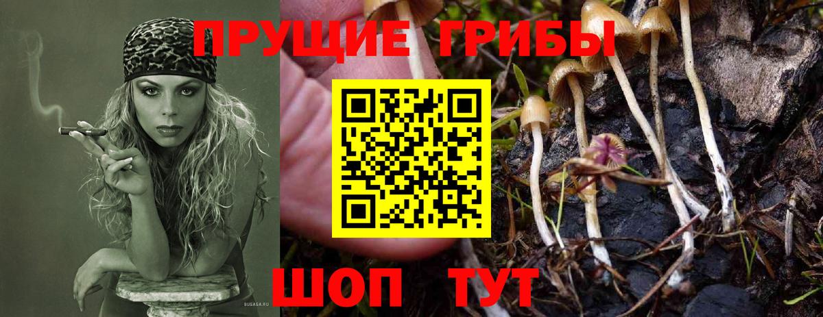 Псилоцибиновые грибы MAGIC MUSHROOMS  где продают   Вход с VPN  Астрахань  Галлюциногенные грибы ЛСД 